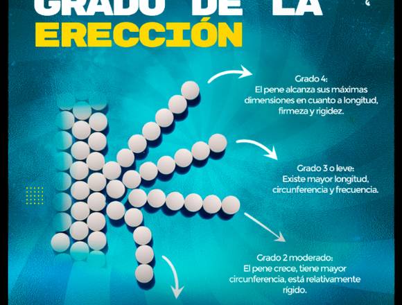 Grados de la Erección