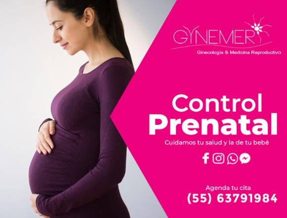 Control Prenatal-.--.-,-..