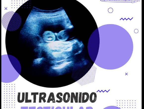 ULTRASONIDO TESTICULAR / ULTRASONIDO ESCROTAL