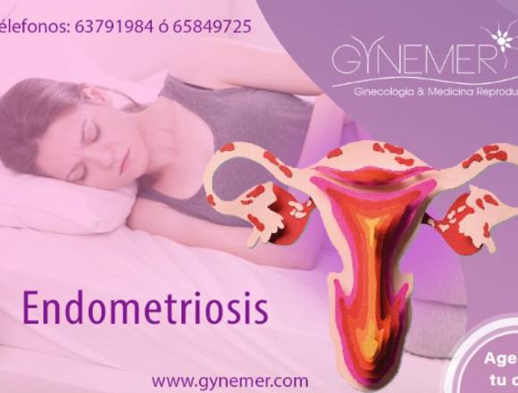 ---ENDOMETRIOSIS---...