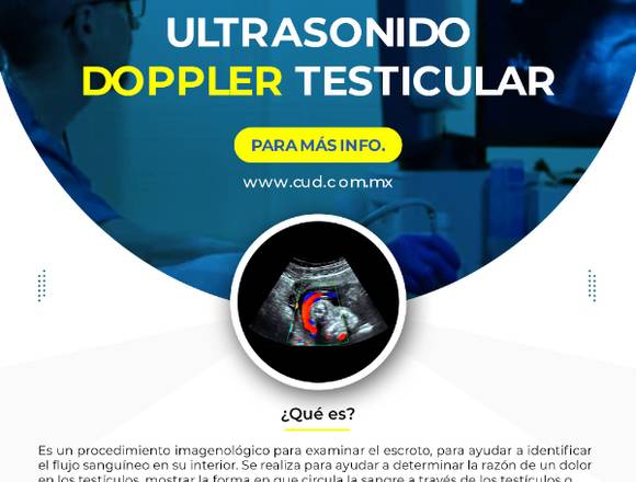 🖥 Ultrasonido Doppler Testicular 👨‍⚕