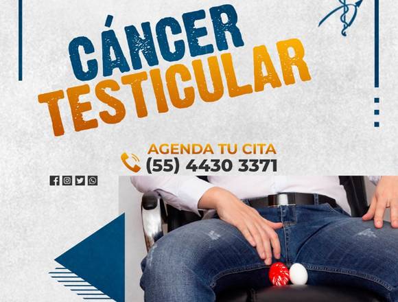 🤒 Cáncer Testicular 🥚