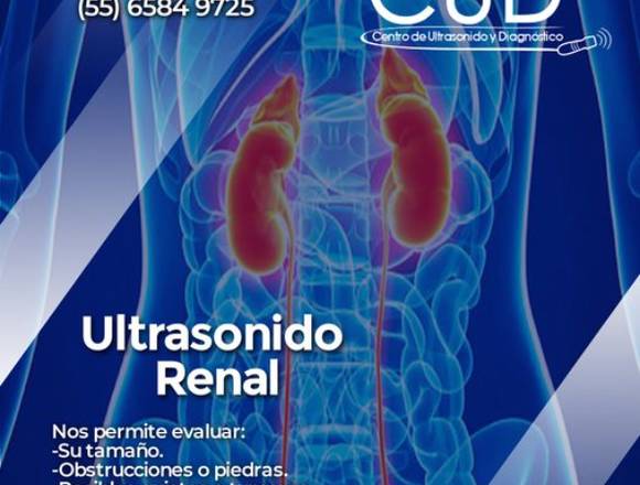 ¿POR QUÉ SE REALIZA UN ULTRASONIDO RENAL?