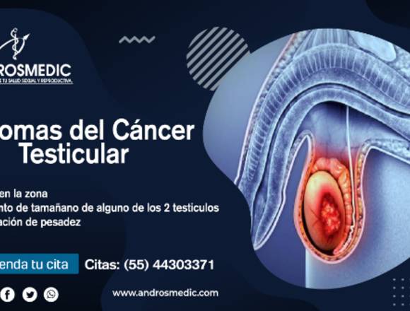 El cáncer de testículo