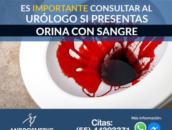 Sangre en la orina.-,-.,-.-.,