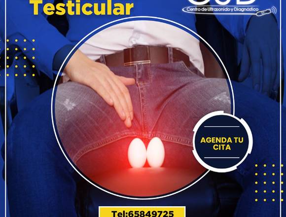 ULTRASONIDO TESTICULAR