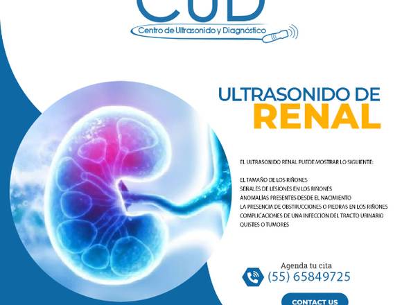 ULTRASONIDO DE RENAL 