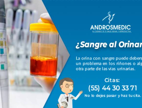 Sangre en la orina (hematuria)