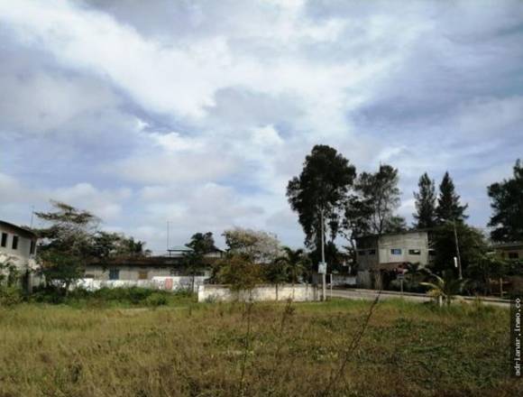 terreno manglar alto frente al mar 