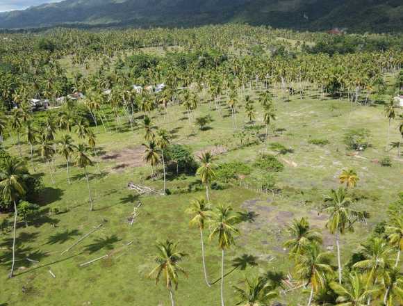 Terreno en Samana, 46,000 metros