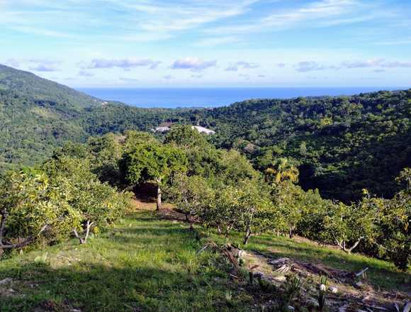 Finca en Paraiso, Barahona, 405 Tareas, US$995,000