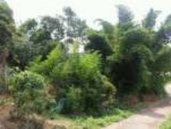 Vendo Lote en Pradilla Cundinamarca