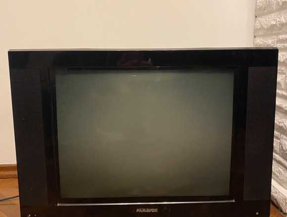 Televisor Panavox 21”