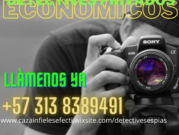 Servicios de Detectives Privados Económicos