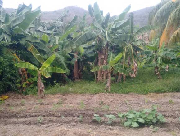terreno ( parcela ) todo en reglas