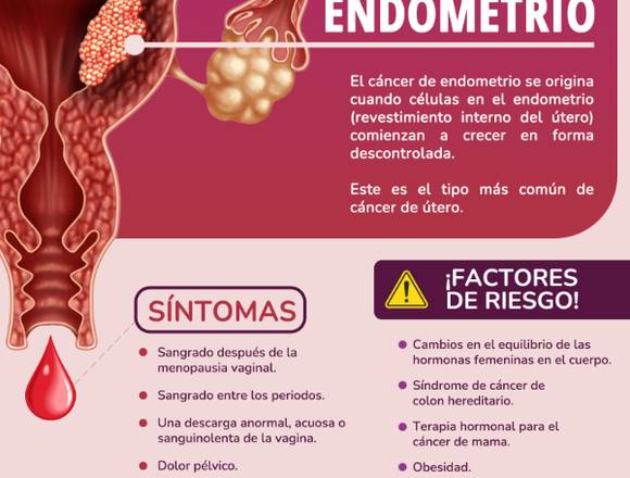 CÁNCER DE ENDOMETRIO 