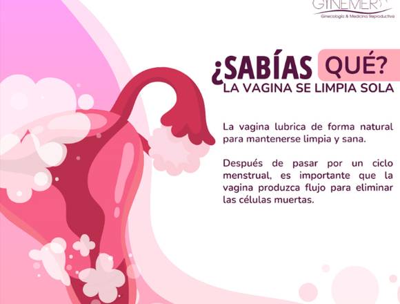 La vagina de limpia sola