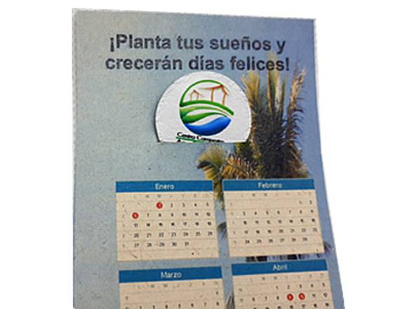 REGALOS CORPORATIVOS Calendario con semilla 