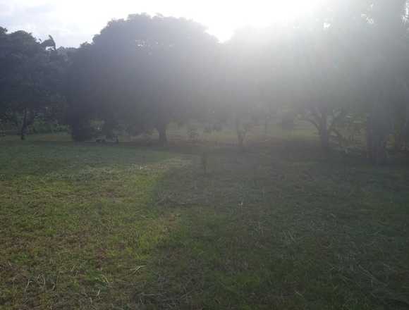 Se vende terreno CHORRERA 2,400 mts