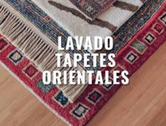 Sanitizado y Lavado de Tapetes Salas  Ojo de Agua