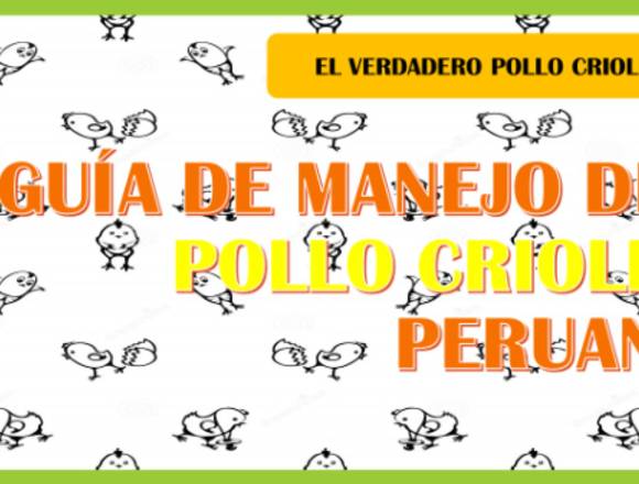 Guia de crianza de pollo