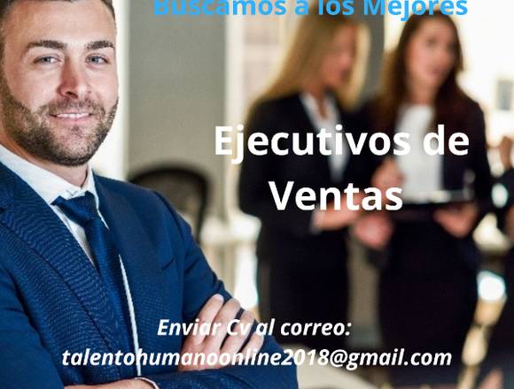 Ejecutivo de Ventas 