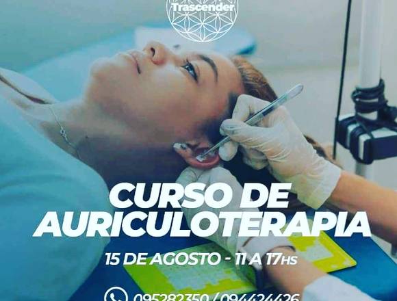 Curso de Formación Completa en Auriculoterapia 