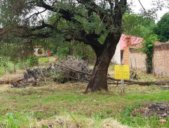 VENDO TERRENO SOBRE AVENIDA LAGUNA GRANDE