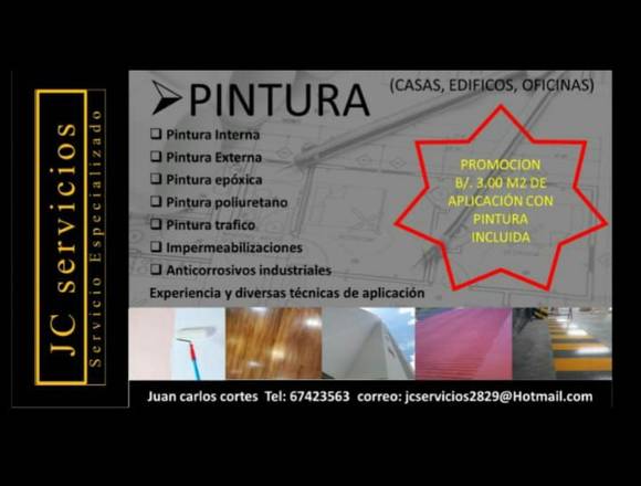 Pintor profesional e impermehabilizaciones 