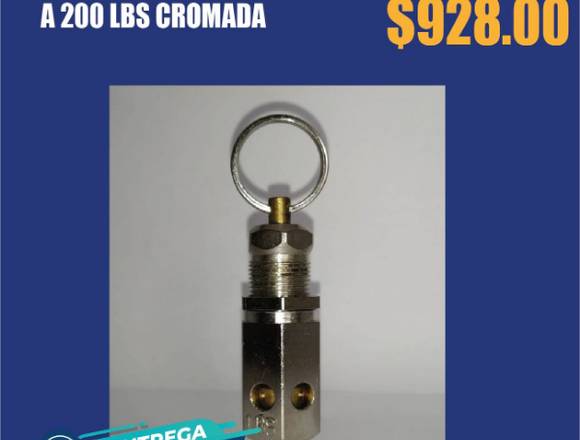 VALVULA DE SEGURIDAD DE 1/4 DISEÑADA A 200LBS  