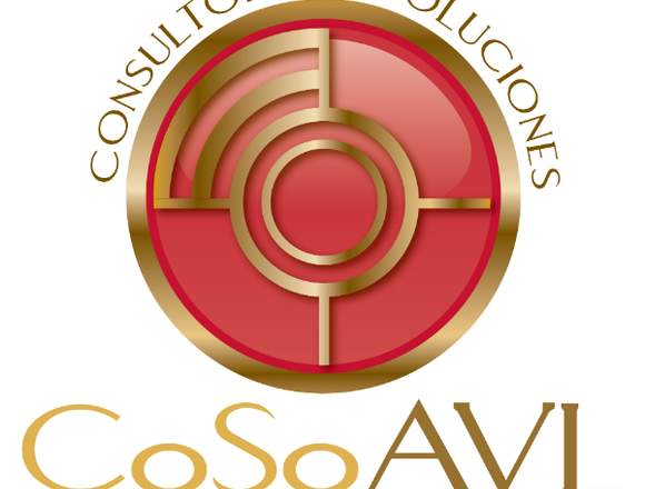 CoSoAVL Localización Automática de Vehículos (GPS)