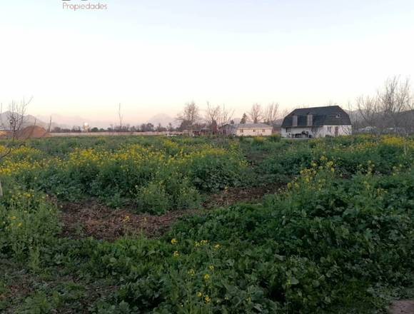 VENTA DE PARCELA CON ARBOLES FRUTALES EN EL MELÓN