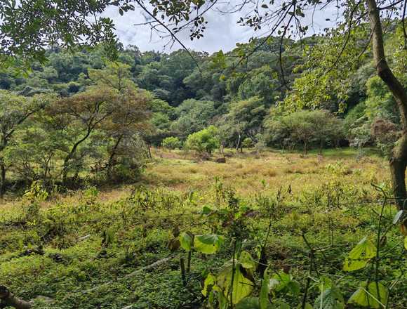 Venta de Lote en Colôn-Mora, San José. RAH 25-1619