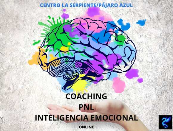 COACHING PNL INTELIGENCIA EMOCIONAL. CURSO ONLINE