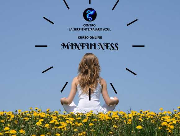 MINDFULNESS. CURSO ONLINE