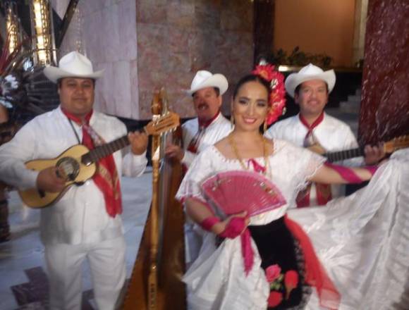 conjunto jarocho fiesta show