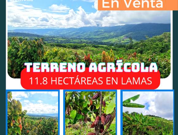 VENDO TERRENO DE 11.8 HECTÁREAS EN LAMAS - PERÚ 