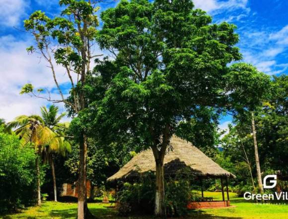 VENDO RECREO CAMPESTRE EN TARAPOTO 7.8 HECTÁREAS 