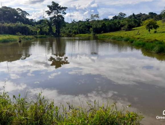 VENDO TERRENO 18 HECTÁREAS EN YURIMAGUAS-TARAPOTO 