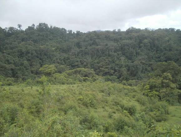 VENTA DE FINCA EN SAN JOSE DE UPALA, CARTAGO