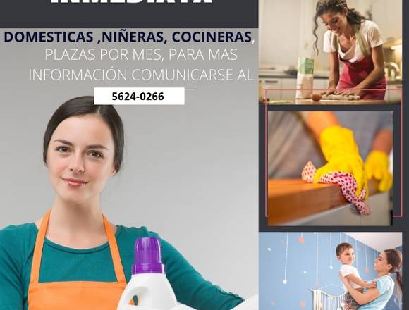 EMPLEOS DOMESTICOS EN LA CIUDAD CAPITAL