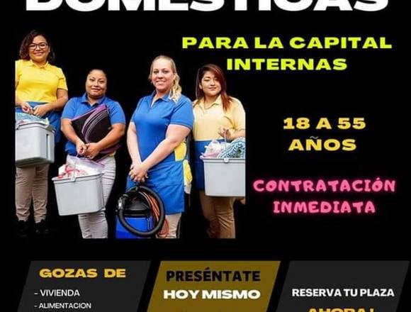 EMPLEOS DOMESTICOS   