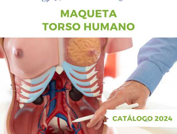 MAQUETAS EDUCATIVAS DE TORSO HUMANO 