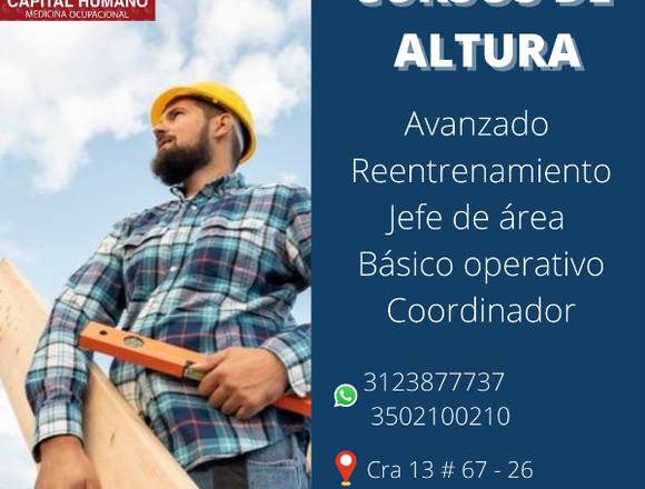 Cursos Trabajo en Alturas