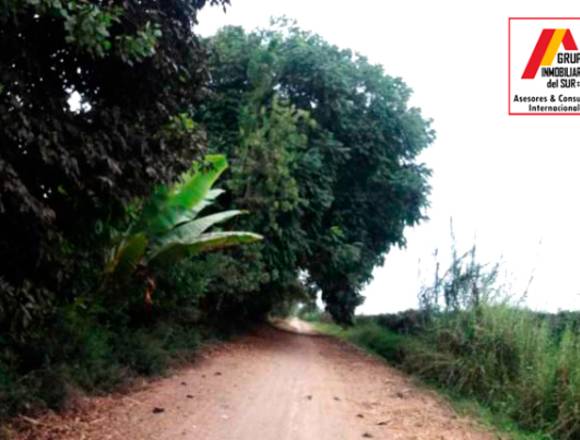 Terreno Rural en Chincha, Hoja Redonda 4.124 has