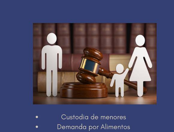 Consultas legales - Derecho familiar