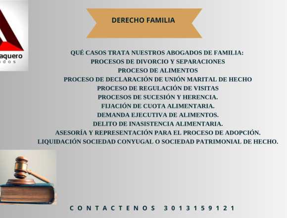 ASESORIA EN DERECHO FAMILIA