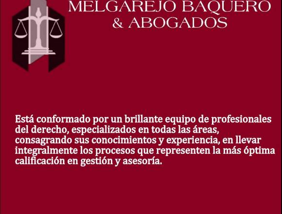 Abogados; Asesorias, litigios en Derecho