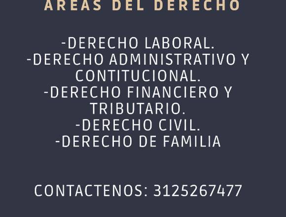 ASESORÍAS Y SERVICIOS LEGALES