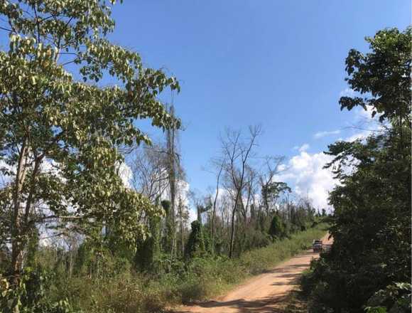  terreno en venta de 15 Hectáreas en  Pucallpa